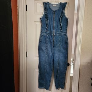 Madewell denim jumpsuit
